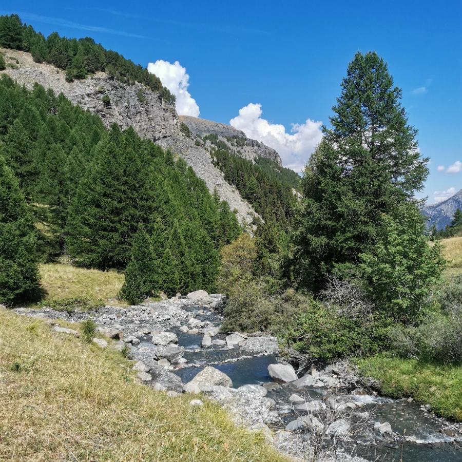 Appartement Pied Des Pistes Super Sauze Enchastrayes المظهر الخارجي الصورة