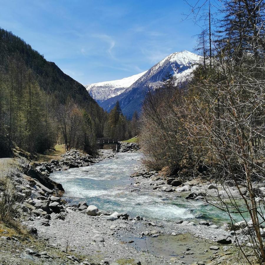 Appartement Pied Des Pistes Super Sauze Enchastrayes المظهر الخارجي الصورة